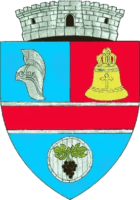 stema Berzovia